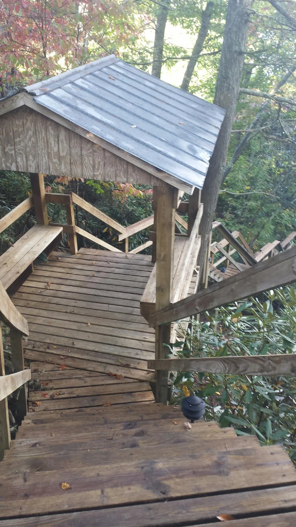 Metal roofed shelter over wooden steps on a wooded walkway — Skylight Repair & Installation work by our crew in Yellow Pine