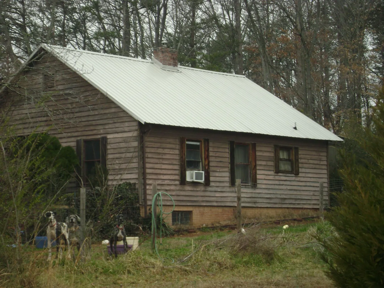 White metal roof on an old wood sided farmhouse, from a Metal Roof Installation job in Yellow Pine